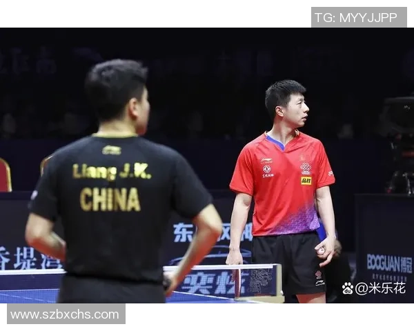 杭州羽毛球队以88分领跑大满贯积分榜展现强劲实力